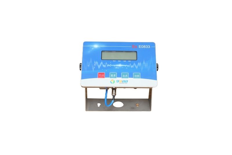 E0833 intrinsic safety meter